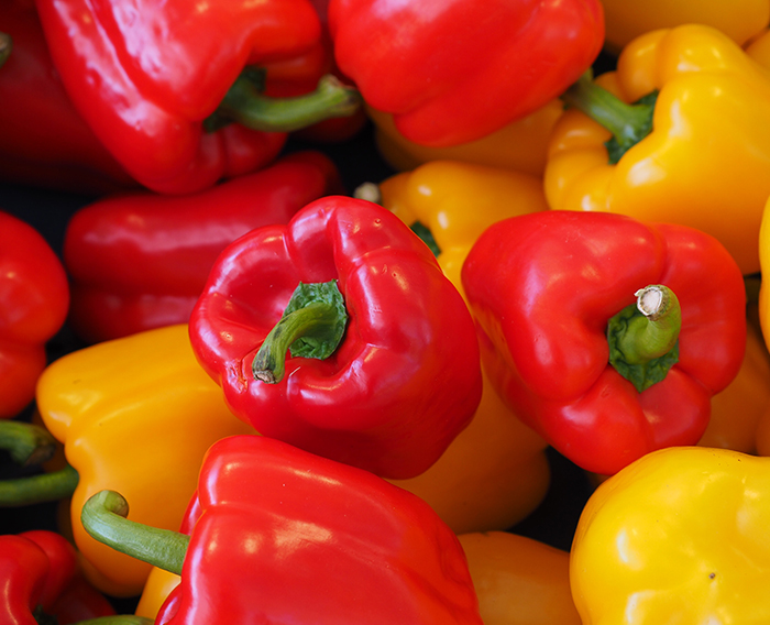Tomates des Jardins Vitrés