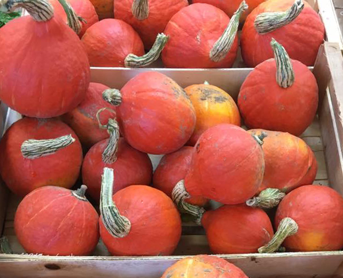 Salades des Jardins Vitrés