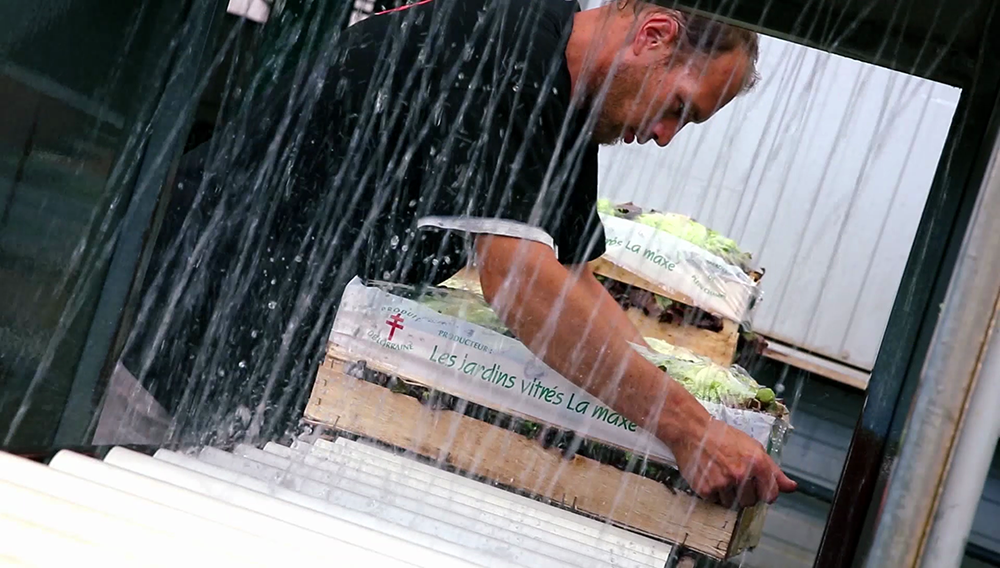 Emballage et humidification des salades