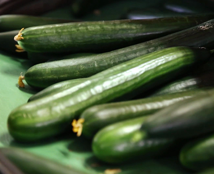 Nos concombres Nos concombres