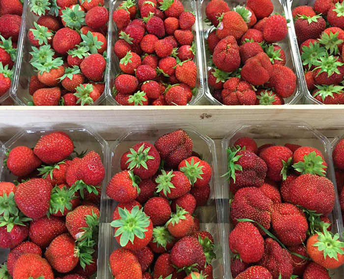 Nos fraises Nos fraises